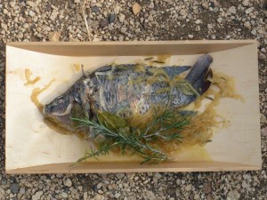 Ryba piotrosz w białym winie z sosem miodowo-cebulowym (źródło: tvp.pl)