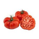 Pomidor Rebelion (źródło: alma24.pl)