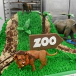 Tort zoo